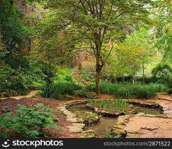 Pond in a beautiful park