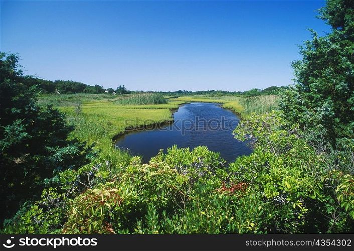 Pond in a garden, Cape Cod, Massachusetts, USA