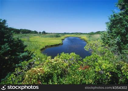Pond in a garden, Cape Cod, Massachusetts, USA