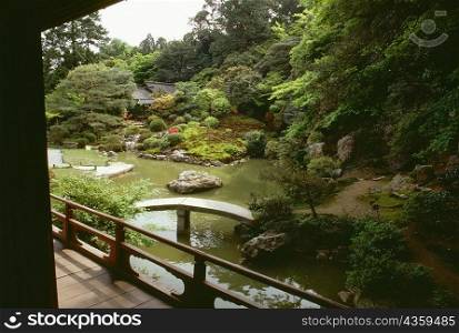 Pond in a garden, Shoren-in Temple, Kyoto, Japan