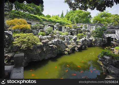 Pond in a garden, Yu Yuan Gardens, Shanghai, China
