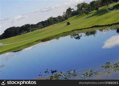 Pond in a golf course