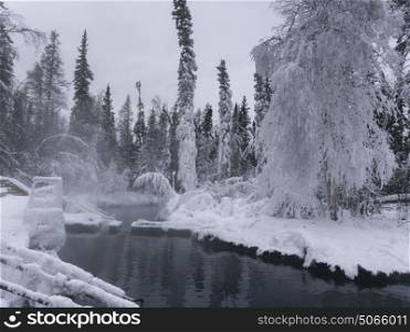 Pond in a snow covered park, Liard River Hot Springs Provincial Park, Northern Rockies Regional Municipality, British Columbia, Canada