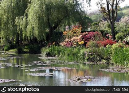 Pond in blossomed garden