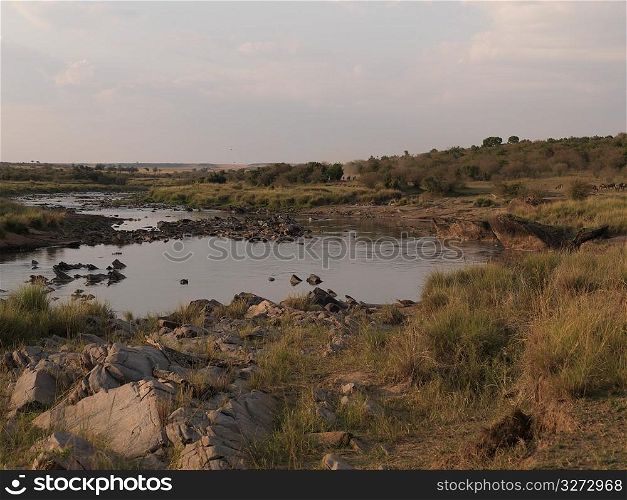 Pond in Kenya Africa