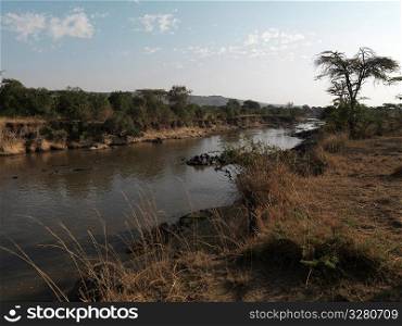 Pond in Kenya Africa