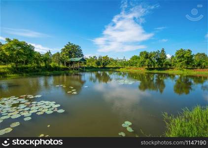 pond lotus water lily / landscape of lake with pavilion riverside on bright day blue sky