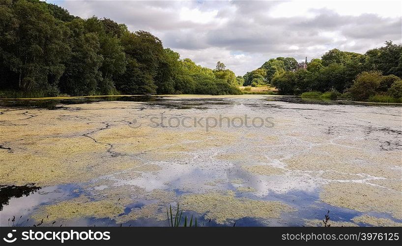 Pond near the Admissions Hut into Lyme Park, Disley in Cheshire, United Kingdom- low angle view
