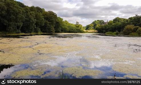 Pond near the Admissions Hut into Lyme Park, Disley in Cheshire, United Kingdom- low angle view