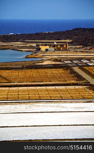 pond water coastline salt in lanzarote spain musk rock stone sky and summer