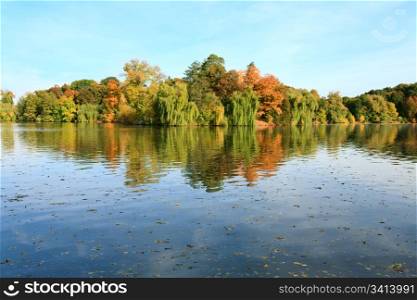 Pond water surface with reflection of colorful trees in autumn park