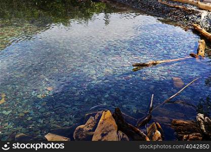 Pond with pebbles, Glacier National Park, Montana, USA