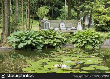 pond with water lily hosta plants and forest as background