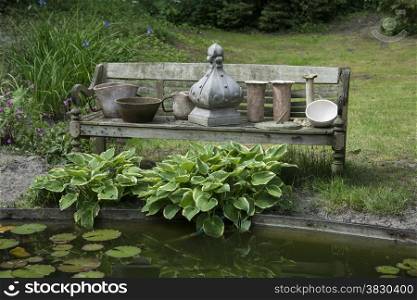 pond with water lily hosta plants and forest as background