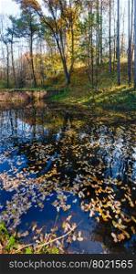 Pond with yellow leaves on water surface in the city autumn park.