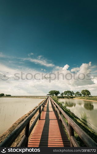 pontoon bridge with blue sky landscape