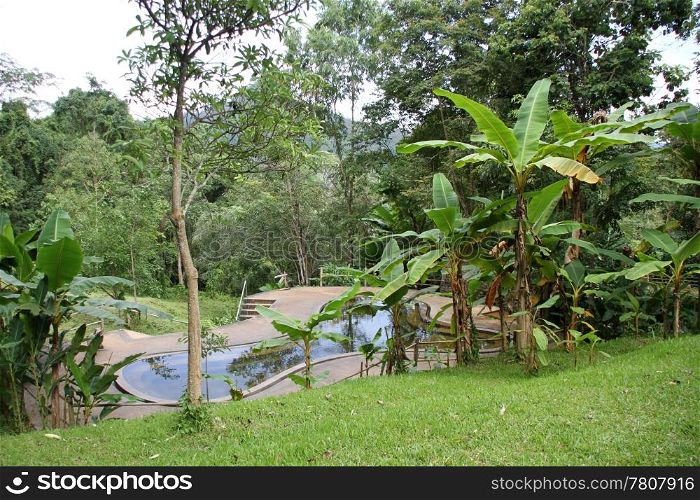 Pool and bababas in countryside in Northern Thailand