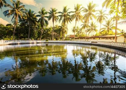 Pool in tropical garden