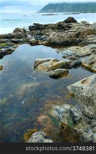 Pool with alga in middle of stones ( Ramberg, Norway, Lofoten).