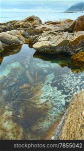 Pool with alga in middle of stones ( Ramberg, Norway, Lofoten).