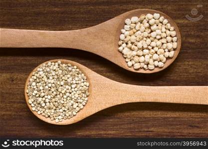 Popped quinoa cereal and raw white quinoa grains (lat. Chenopodium quinoa) on small spoons, photographed overhead on dark wood with natural light