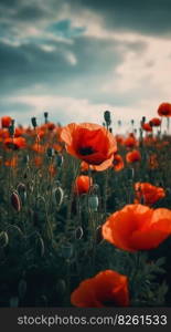 Poppy flower background for Anzac day. Illustration Generative AI 