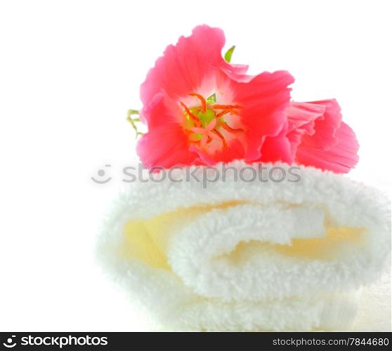 Poppy Flower over Rolled towel