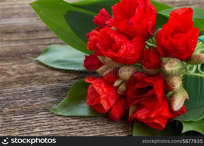 Poppy flowers. Bouquet of Poppy flowers with green leaves