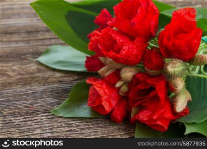 Poppy flowers. Bouquet of Poppy flowers with green leaves