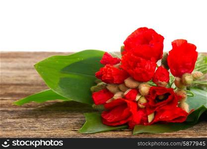 Poppy flowers. Bouquet of Poppy flowers with green leaves on wooden table border isolated on white background