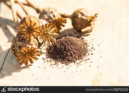 poppy seeds heap and dry flowers on the table. poppy seeds