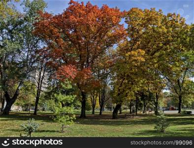 Popular Zaimov park for rest and walk with autumnal yellow and red foliage, Oborishte district, Sofia, Bulgaria