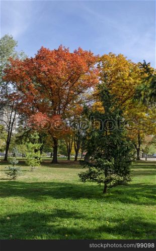 Popular Zaimov park for rest and walk with autumnal yellow and red foliage, Oborishte district, Sofia, Bulgaria
