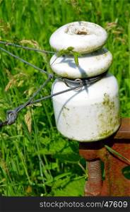 Porcelain insulator on a metal picket with barbed wires.