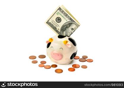 Porcelain piggy bank, american dollars and euro cents isolated on white background. Business concept.