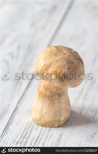 Porcini mushroom on the wooden background