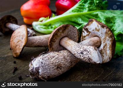 porcini mushrooms, bell pepper, herbs and other products on the table. food background
