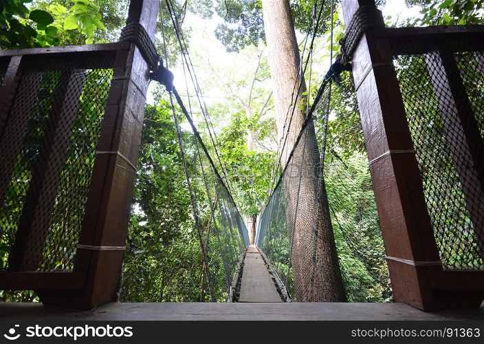 Poring Treetop Canopy Walk at Ranau Malaysia
