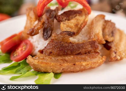 Pork belly fried on steamed rice on a plate. Selective focus.