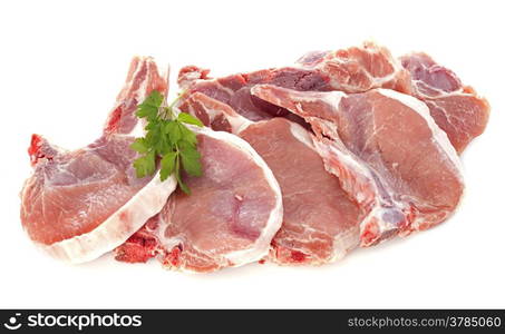 pork chops in front of white background