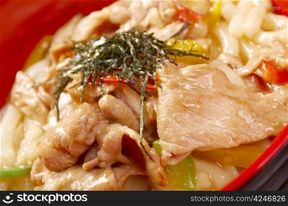 pork slice and udon-noodle.Japanese cuisine