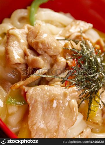 pork slice and udon-noodle.Japanese cuisine