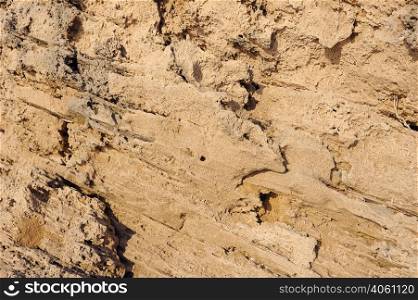 Porous texture of the sandstone on the seashore. Texture of sandstone