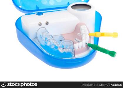 portable dental model showing how to use intra proximal brushes (isolated on white background)