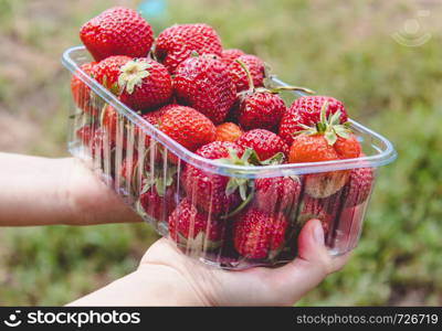 Portion box of fresh juicy strawberries. Vitamins Healthy Food Nutrition Vitamins. Portion box of fresh juicy strawberries.