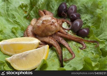 Portion octopus on green lettuce