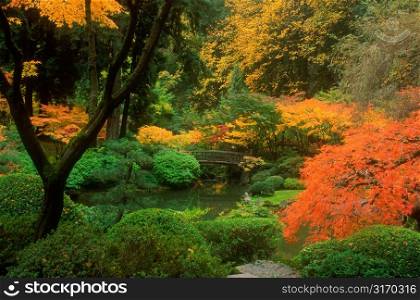 Portland Japanese Garden in Autumn