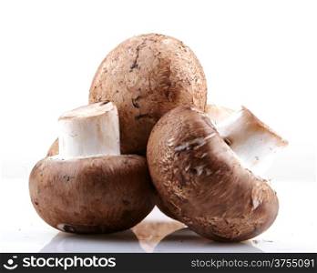 portobello mushroom