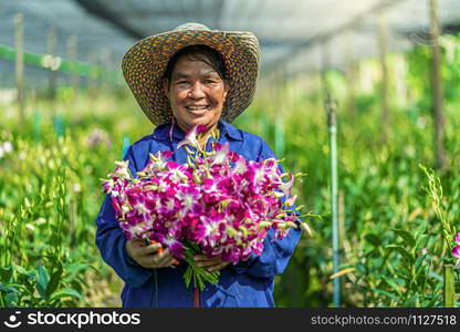 Portrait asian gardener of orchid gardening farm, The purple orchids are blooming in the garden farm, Happiness worker holding bundle of blossom, Purple orchids in farming of bangkok, thailand.