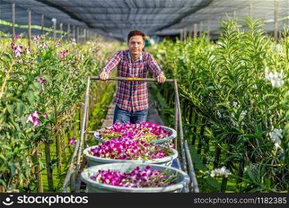Portrait asian small business owner of orchid gardening farm, Happiness founder collecting the flower,The purple orchids are blooming in the garden farm,Purple orchids in farming of bangkok, thailand.
